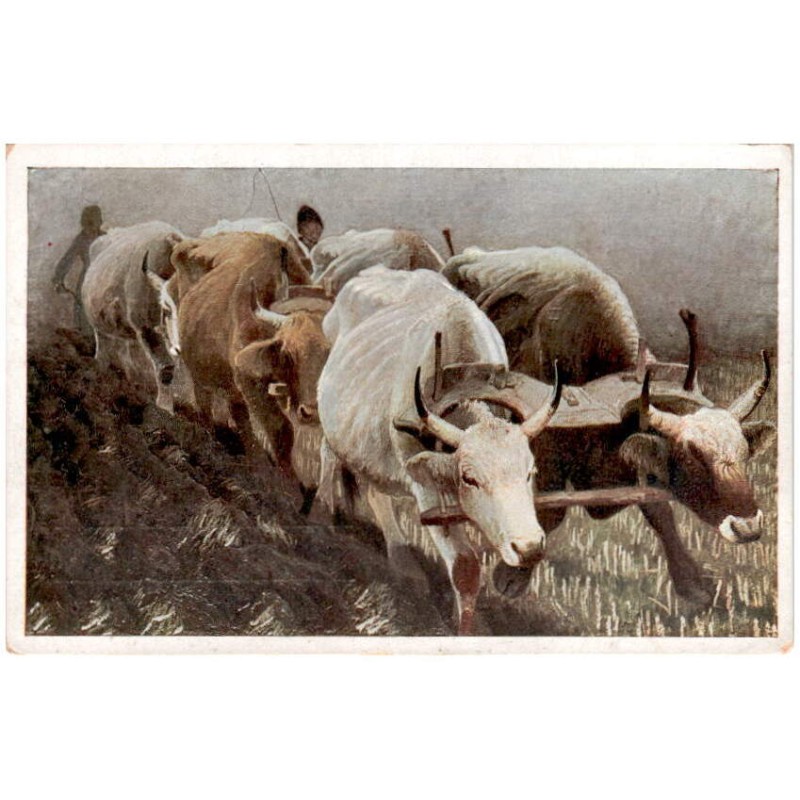 Jarocki. Orka - Le labourage