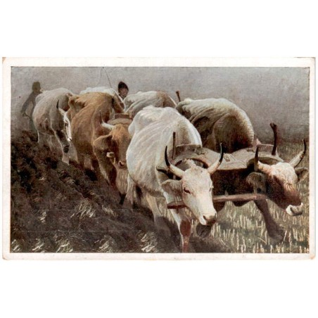 Jarocki. Orka - Le labourage