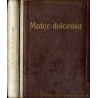 Mater dolorosa. Ein Trostbuch für Betrübte