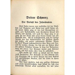 Mater dolorosa. Ein Trostbuch für Betrübte