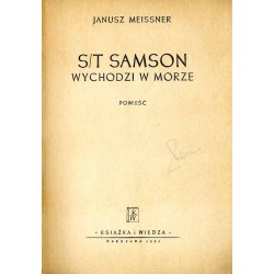 S/t Samson wychodzi w morze. Powieść
