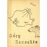 Góry Banackie (Rumunia)