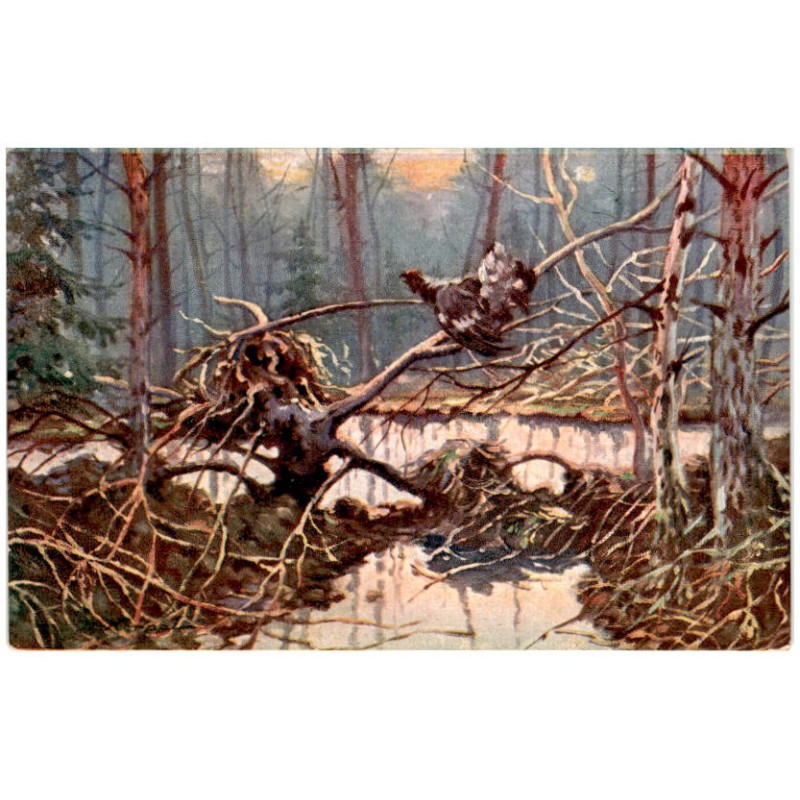 [Głuszec] / Rewers: T. Korpal