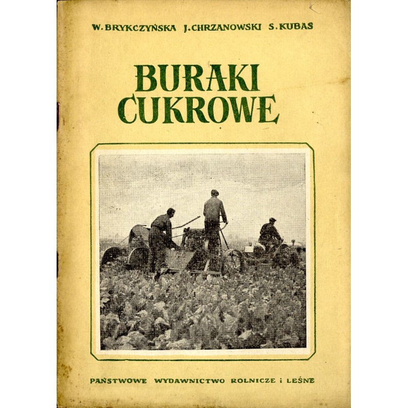 Buraki cukrowe