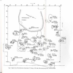Opolski Rocznik Muzealny. T. 13 (2001) / Osada kultury pucharów lejowatych w Polskiej Cerekwi, pow. Kędzierzyn-Koźle / Szczątki