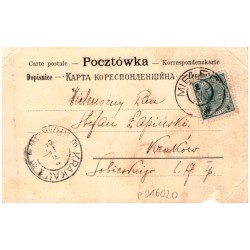 Pas wykonany przez Pashalisa. No. 7. Własność Hr. A. Potoc[kiego]
