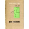 Pod chmurami