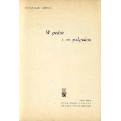 W grodzie i na podgrodziu