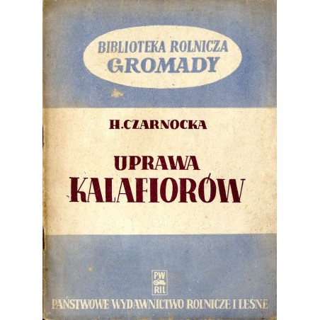Uprawa kalafiorów