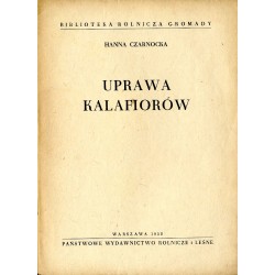 Uprawa kalafiorów