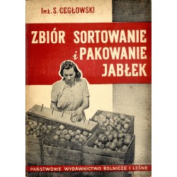 Zbiór, sortowanie i pakowanie jabłek