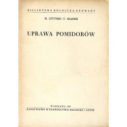 Uprawa pomidorów