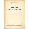 Uprawa kapusty i kalarepy