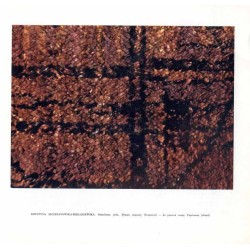 Przegląd Artystyczny. 1963. Nr 4 (14) (Lipiec-Sierpień 1963)