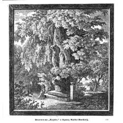 "Drzewo na "Kępie," z figurą Matki Boskiéj. 558"