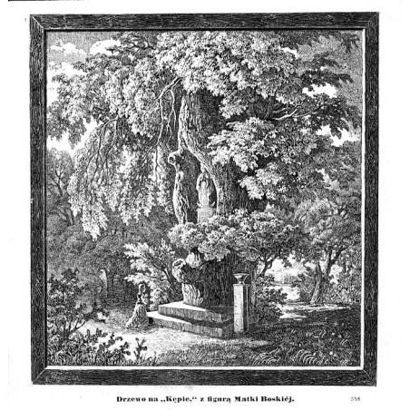 "Drzewo na "Kępie," z figurą Matki Boskiéj. 558"