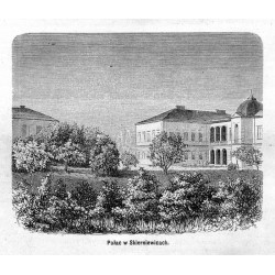 [1] "Dworzec kolei żelaznéj w Skierniewicach." [2] "Pałac w Skierniewicach." [3] "Miasto, z widokiem na kościół parafialny."