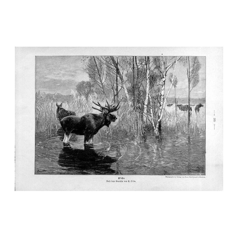 "Elche. Nach dem Gemälde von E. Otto."