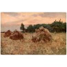 Józef Rapacki pinx. Rok w krajobrazie Polskim. Un an dans les paysages polonais. Lipiec. Juliet