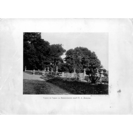 Wiśniowiec - Pałac P. A. Demidowa. Tarasy na rzekę Horyń / "Терраса на Горынь въ Вишневецкомъ замкѣ П. А. Демидова."