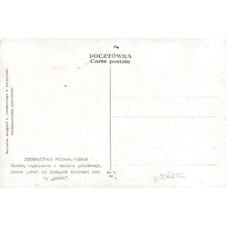 Ozdoby wyszywane z serdaka góralskiego, zwane "róże", po brzegach ornament zwany "gadzik"
