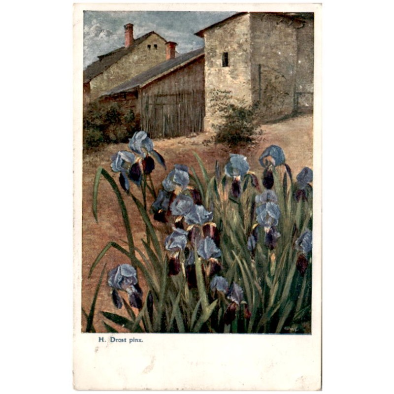 H. Drost pinx. [Kwiaty i zabudowania]