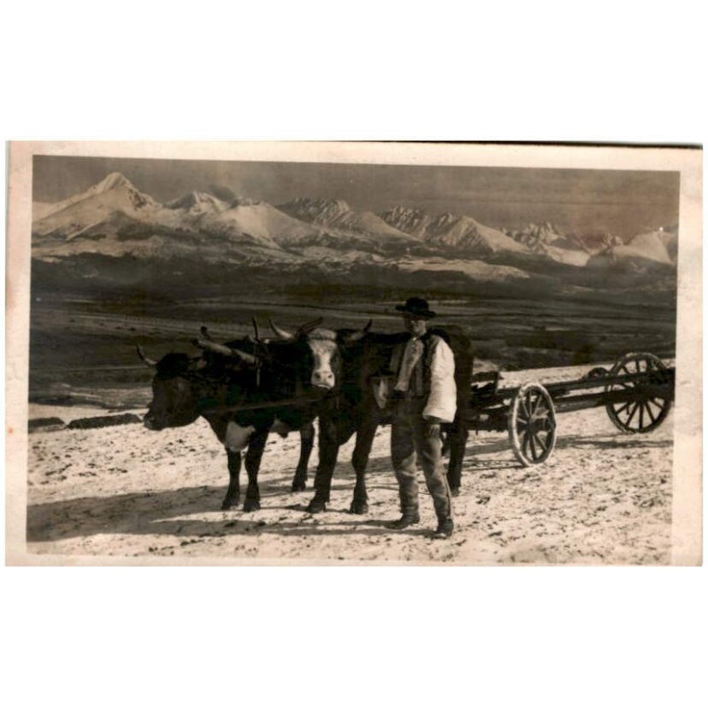 [Važ]ec (Župa Liptovská.) [V]ažec (Département de Liptov.) Predjarie pod Tatrami. Vers le [...] sous les Tatra's. (Fot. Karol Pl