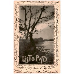 Miecz. K. Piotrowski pinx. Listopad