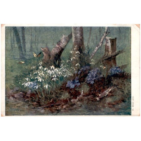 H. Drost pinx. [Kwiaty w lesie]