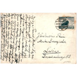 H. Drost pinx. [Kwiaty w lesie]
