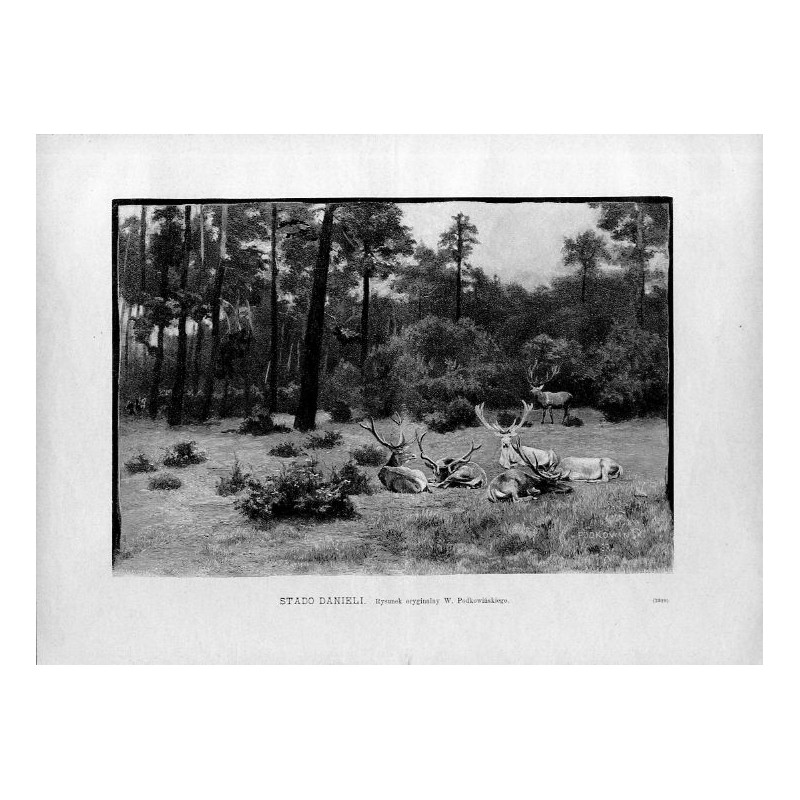 Stado danieli. Rysunek oryginalny W. Podkowińskiego (2329) / "STADO DANIELI. Rysunek oryginalny W. Podkowińskiego. (2329)"
