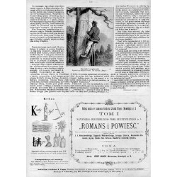 "Bartnik kurpiowski. Rysował na miejscu Gerson. Do artykułu "Kurpie." 798"