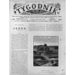 "Z okolic Jeziorny. Rysunek oryginalny Jana Owidzkiego. (2787)"