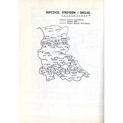 Katalog zabytków sztuki w Polsce. Seria nowa. T. 3: Województwo rzeszowskie. Z. 1: Ropczyce, Strzyżów i okolice
