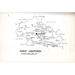 Katalog zabytków sztuki w Polsce. T. 8: Województwo lubelskie. Z. 11: Dawny powiat lubartowski / Lubartów i powiat