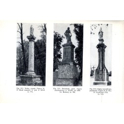Katalog zabytków sztuki w Polsce. T. 8: Województwo lubelskie. Z. 5: Powiat chełmski / Chełm i powiat