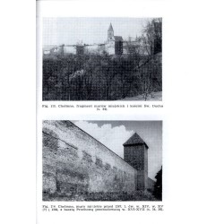 Katalog zabytków sztuki w Polsce. T. 11: Województwo bydgoskie. Z. 4: Dawny powiat chełmiński / Chełmno i powiat