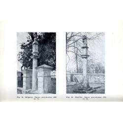 Katalog zabytków sztuki w Polsce. T. 8: Województwo lubelskie. Z. 3: Powiat biłgorajski / Biłgoraj i powiat