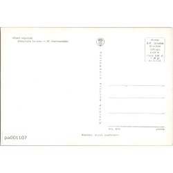 Chart afgański