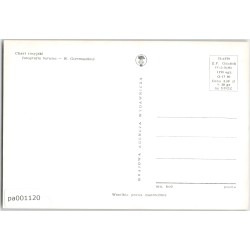 Chart rosyjski
