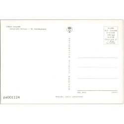 Chart rosyjski