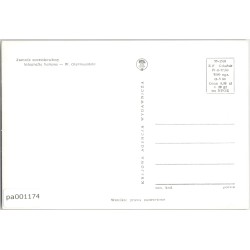 Jamnik szorstkowłosy