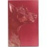 Doberman