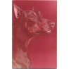 Doberman