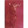Doberman