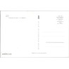 Collie | Parys