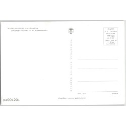 Wyżeł niemiecki szorstkowłosy