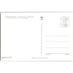 Jamniki miniaturki - szorstkowłosy i długowłosy