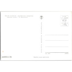 Jamnik miniaturki - szorstkowłosy i długowłosy