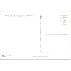 Jamniki miniaturki - szorstkowłosy i długowłosy